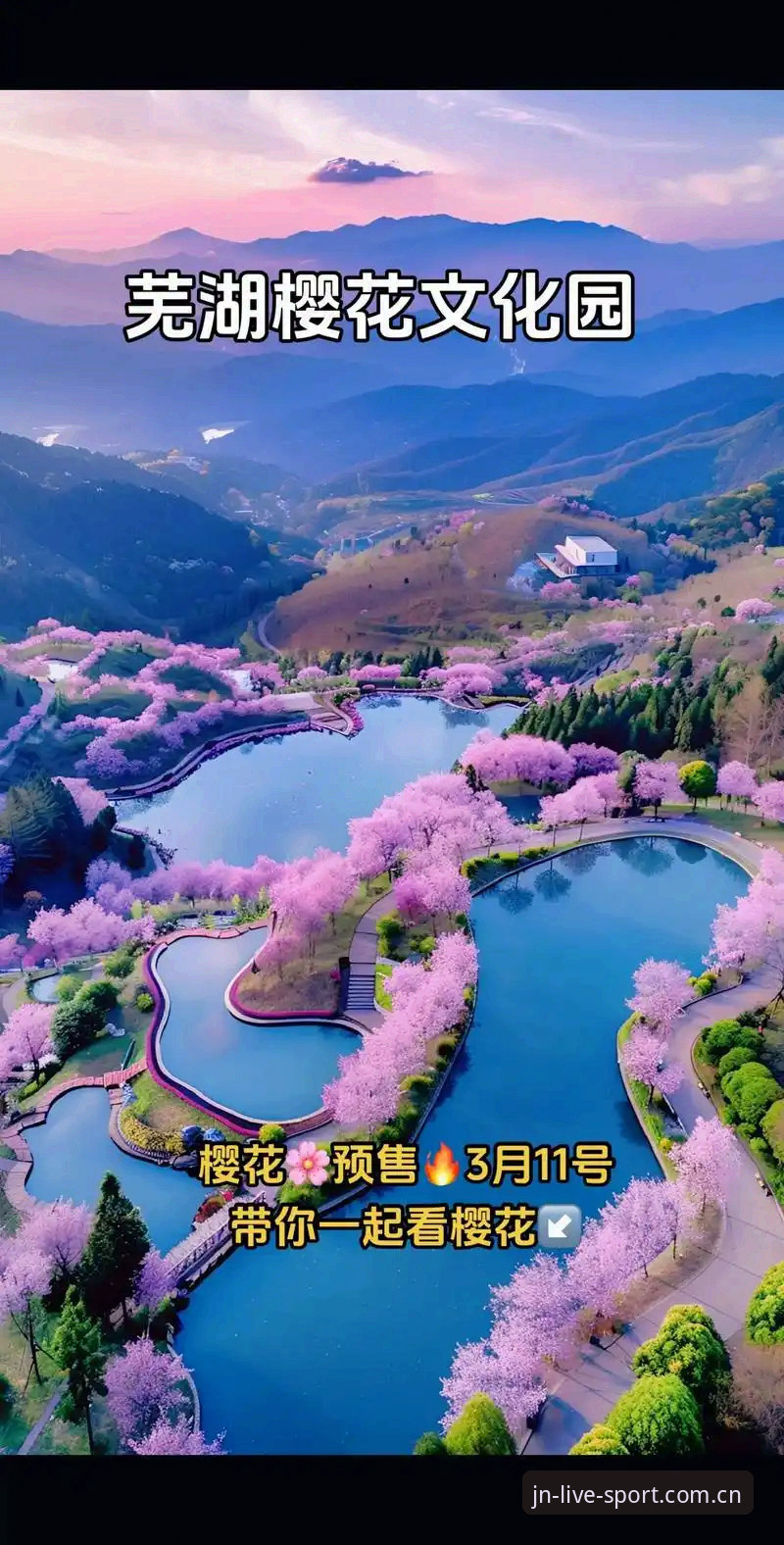 揭秘江南体育手机版背后的赛事直播革命——你不知道的沉浸式体验真相